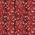 Blühende Sakura